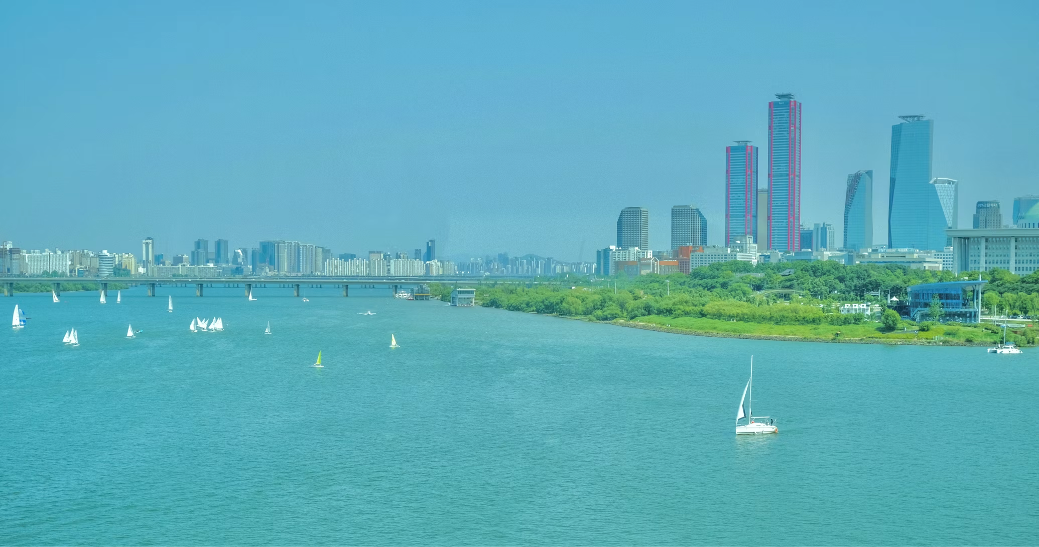 LSM1_1786246302584